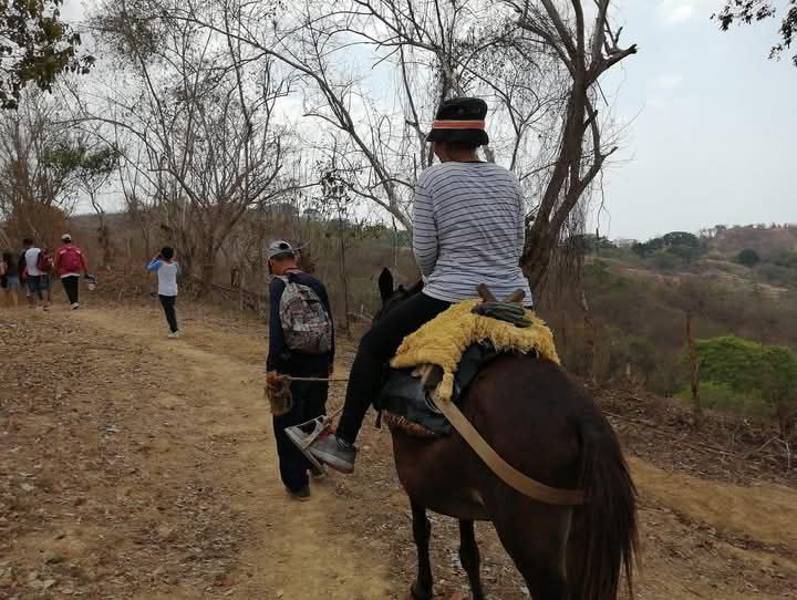 Cabalgata por los senderos rurales de Piojó