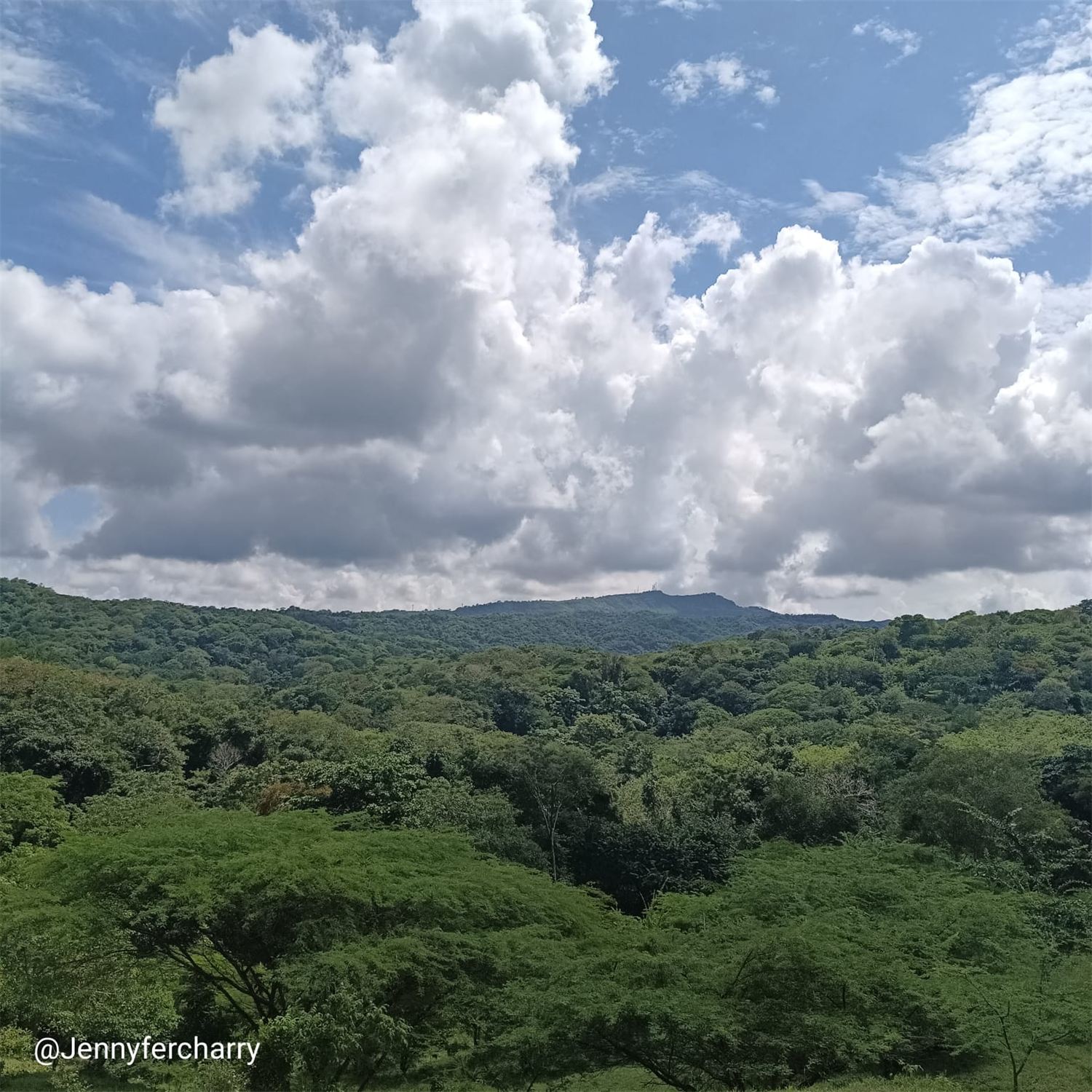 Bosque seco tropical del Cerro de la Vieja, Piojó