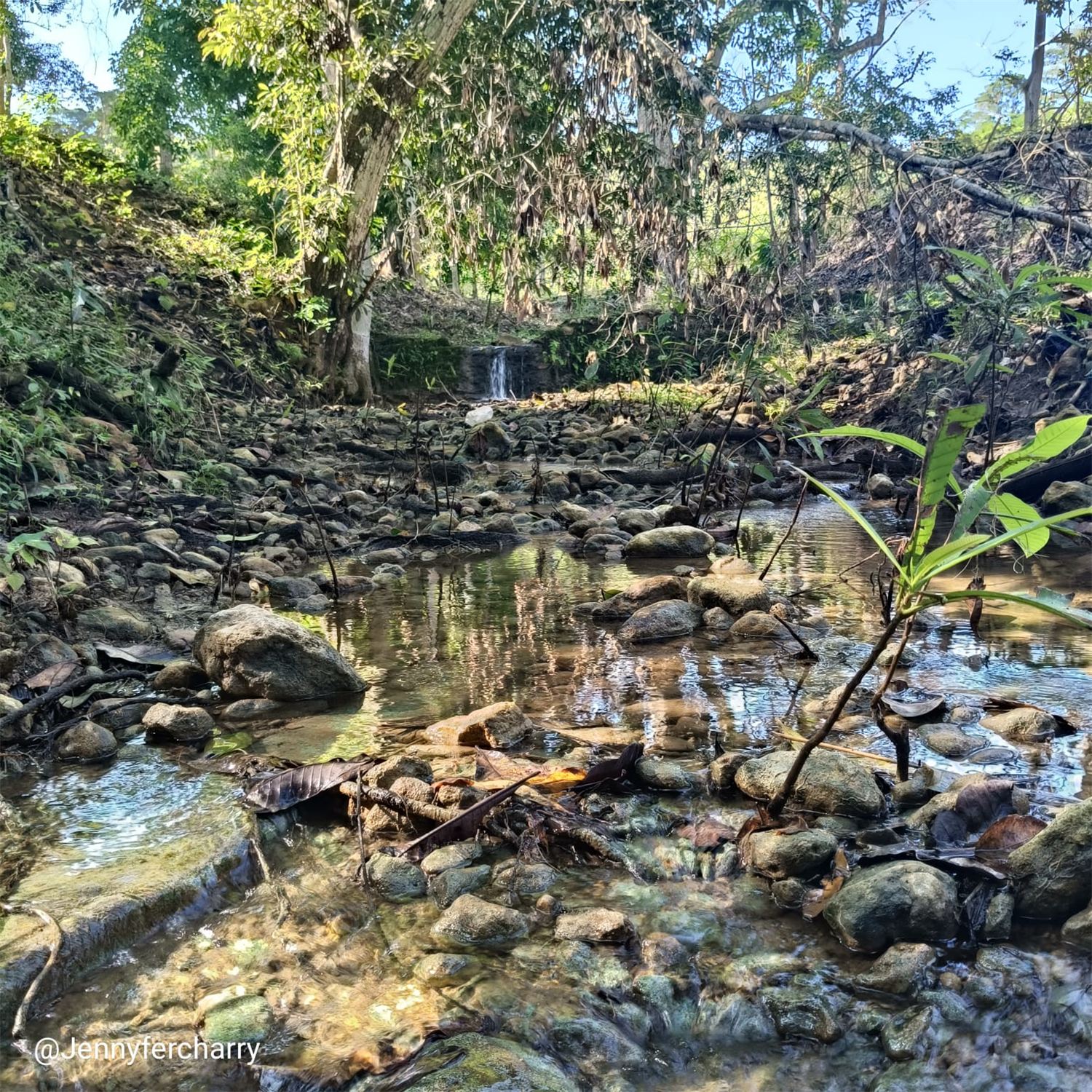 Quebrada en el bosque seco tropical de Piojó